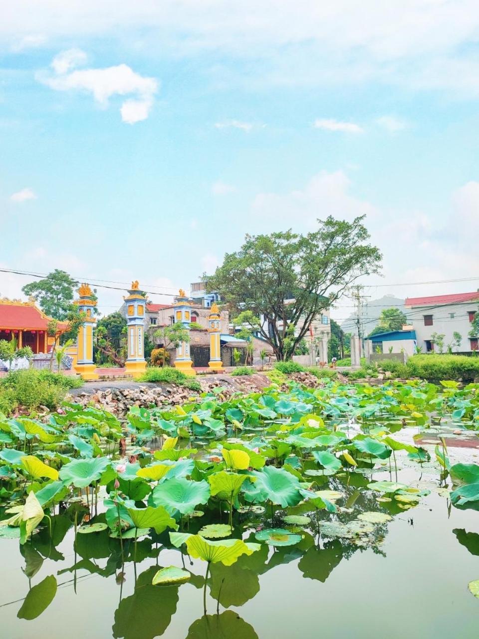Trang An Natural Mountainside Homestay Ninh Binh Luaran gambar
