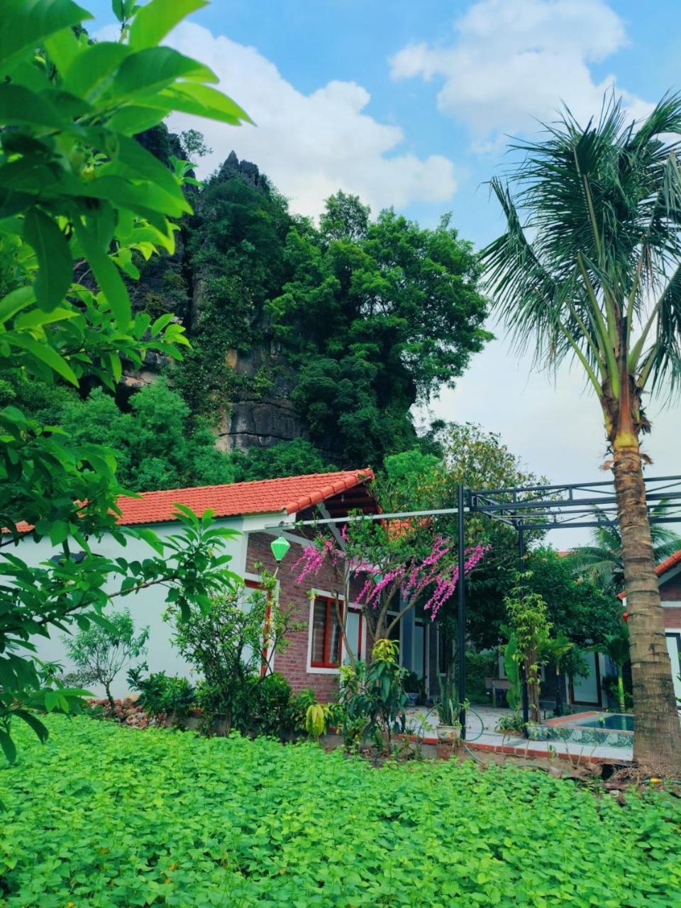 Trang An Natural Mountainside Homestay Ninh Binh Luaran gambar