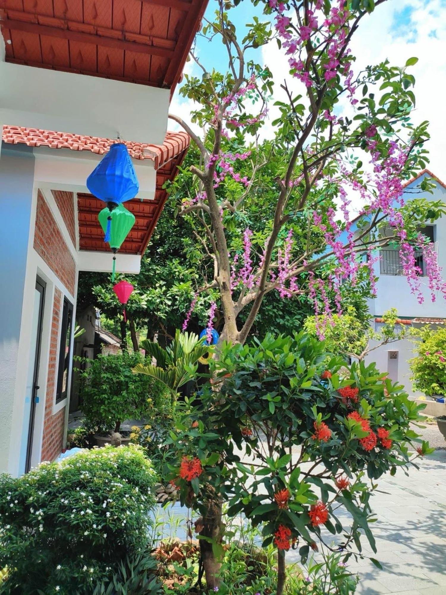 Trang An Natural Mountainside Homestay Ninh Binh Luaran gambar